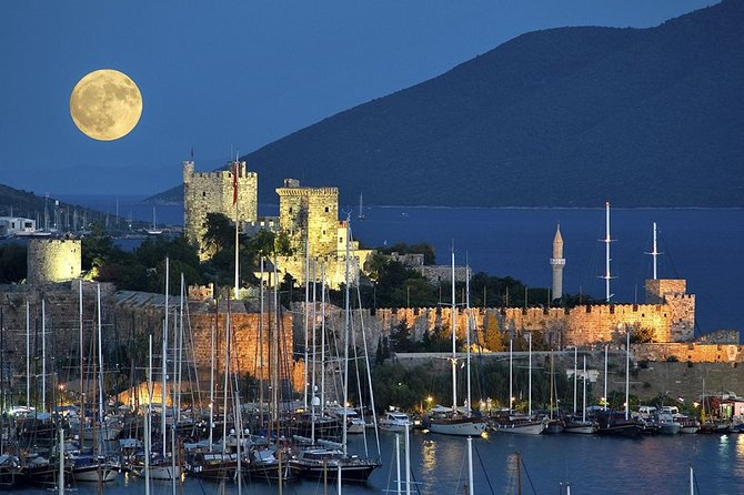Bodrum Shore Excursion: Private Bodrum Express Sightseeing Tour - Price