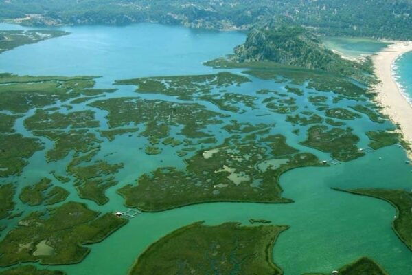 Bodrum to Dalyan Turtle Beach (Caunos) Guided Tour - Historical Insights
