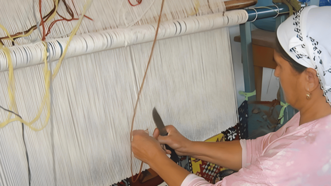 Bodrum: Traditional Village Tour With Lunch - Inclusions and Benefits