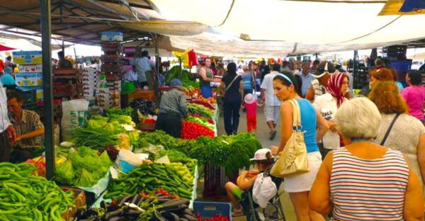 Bodrum: Turgutreis Market Tour - Tips for Visitors