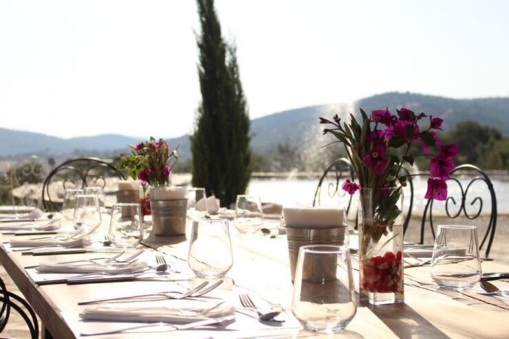 Bodrum Vineyard Tour With Dinner and Wine Pairing - Activity Details