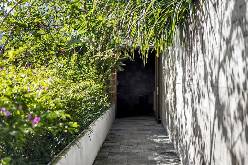 Body Mantra Spa & Wellness in Canggu Bali with Free Transfer - A Canggu spa visit built around the treatment you choose