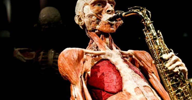Body Worlds Amsterdam: The Happiness Project Ticket - Ticket Information
