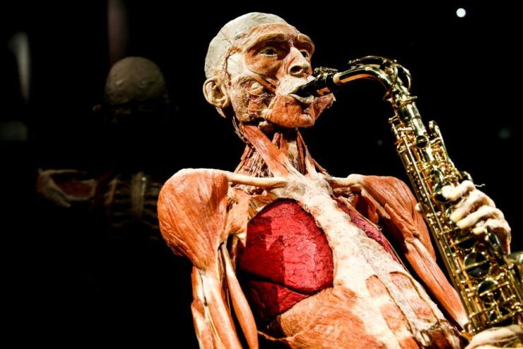 Body Worlds Amsterdam: The Happiness Project Ticket - Experience