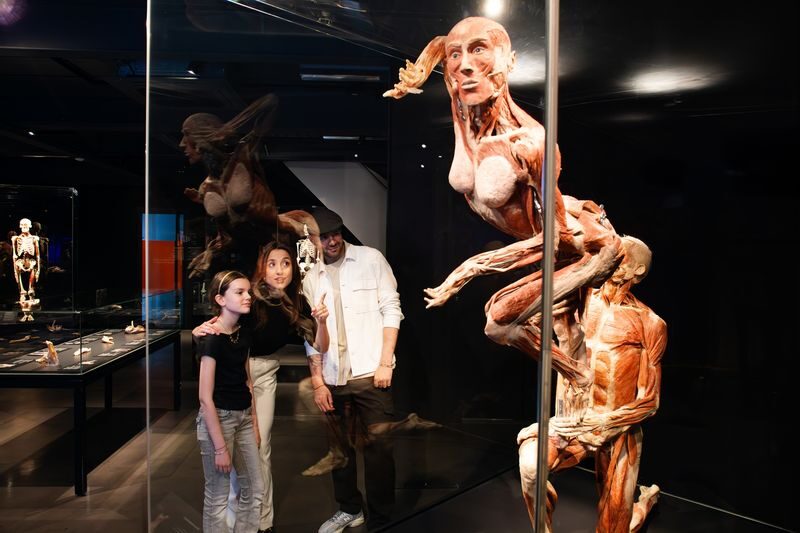 Body Worlds Amsterdam Ticket - The Happiness Project brings anatomy back to daily life
