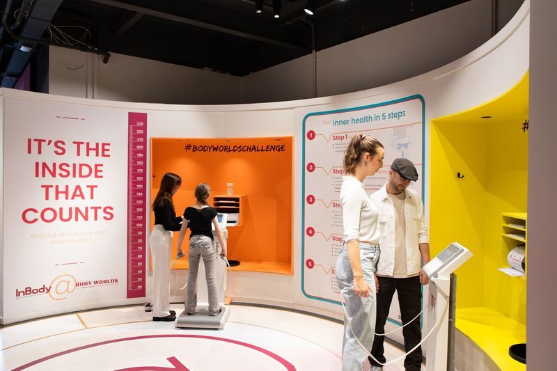 Body Worlds Amsterdam Ticket - The InBody scan is a useful extra, not the main event