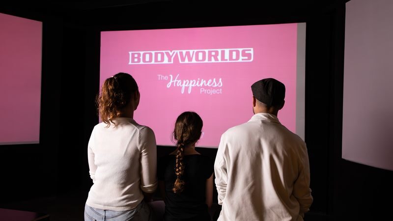 Body Worlds Amsterdam Ticket - Choosing the ticket that fits your day