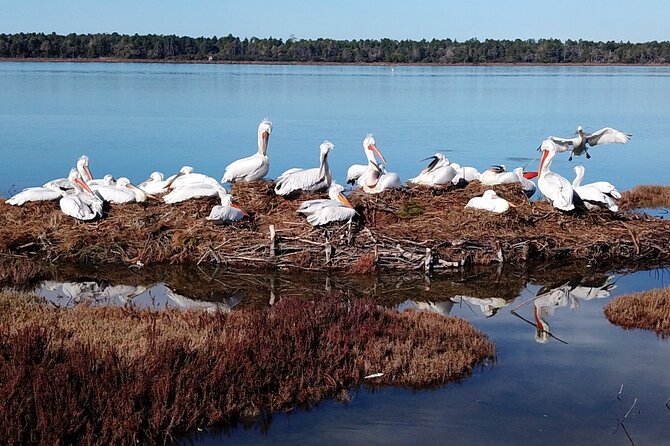 Bodyflow Experience in Karavasta Lagoon From Tirana & Durres - Booking Information