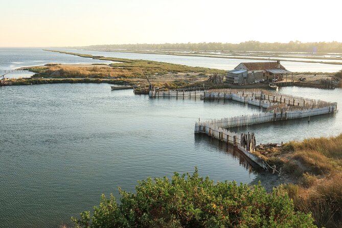 Bodyflow Experience in Karavasta Lagoon From Tirana & Durres - Frequently Asked Questions