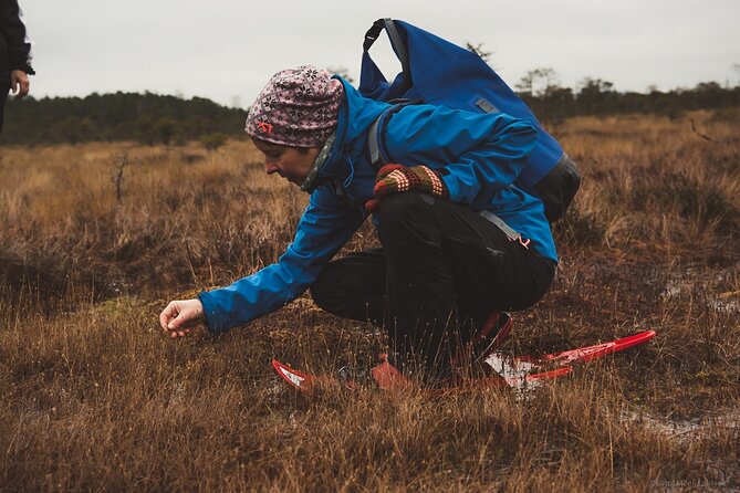 Bog-shoe Hiking Tour - Group Size and Highlights