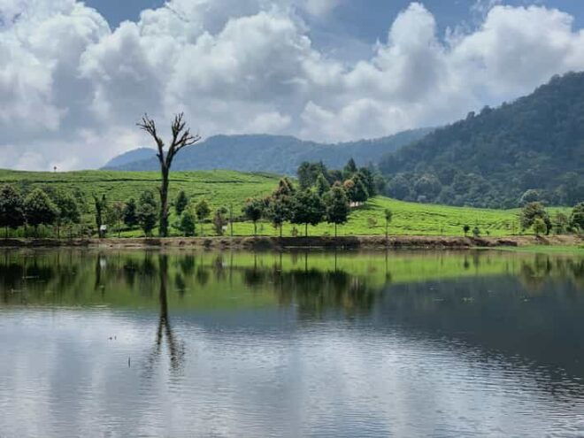 Bogor: Private Car Charter With Professional Driver - Vehicle Features and Comfort