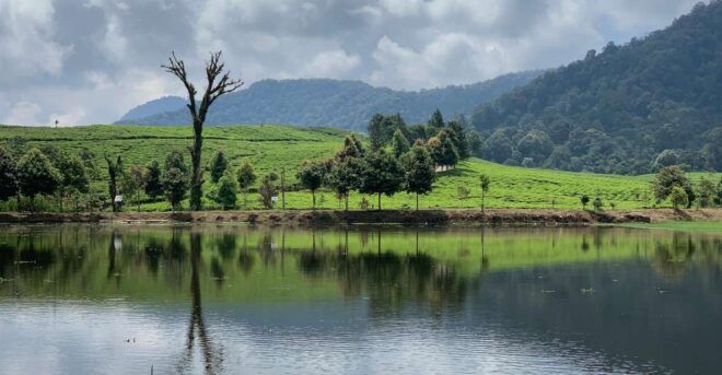 Bogor: Private Car Charter With Professional Driver - Experience Highlights