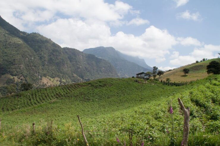 Bogota Chorrera Hike - Activity Details