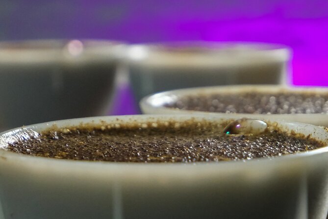 Bogota Coffee Tasting Tour - Bogotá - Tour Highlights