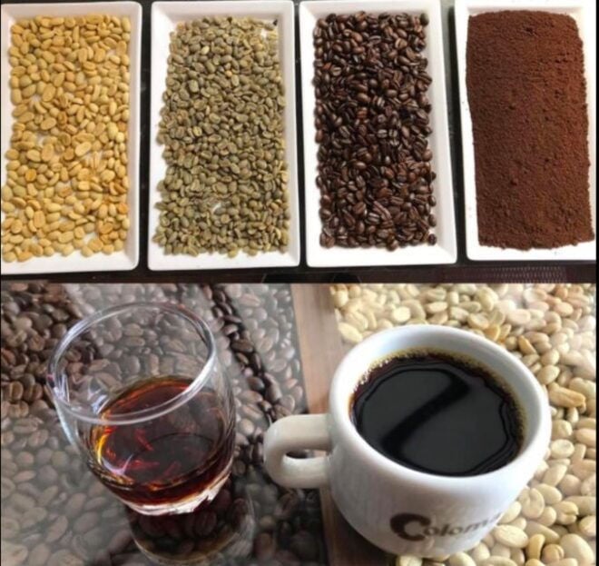 Bogotá: Colombian Coffee Tour With Farm - Review Summary