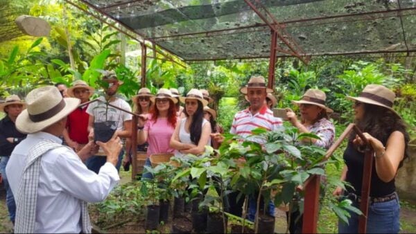 Bogotá: Colombian Coffee Tour With Farm - Tour Inclusions