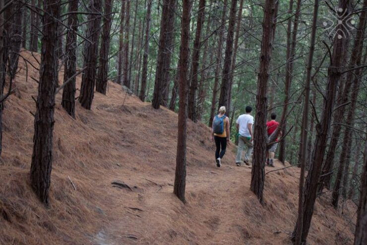 Bogota: East Hills Mountain Hike - Experience Highlights