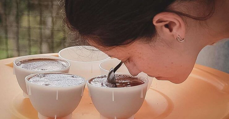 Bogota: Expert Curated Colombian Coffee Cup Tasting Workshop - Workshop Details