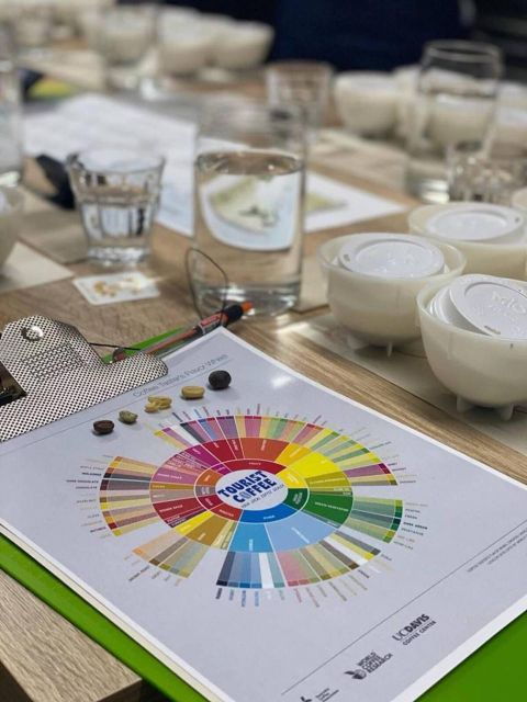Bogota: Expert Curated Colombian Coffee Cup Tasting Workshop - Highlights of the Experience