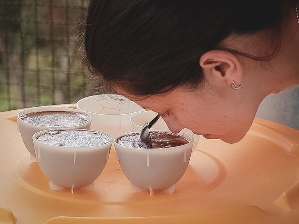 Bogota: Expert Curated Colombian Coffee Cup Tasting Workshop - The Sum Up