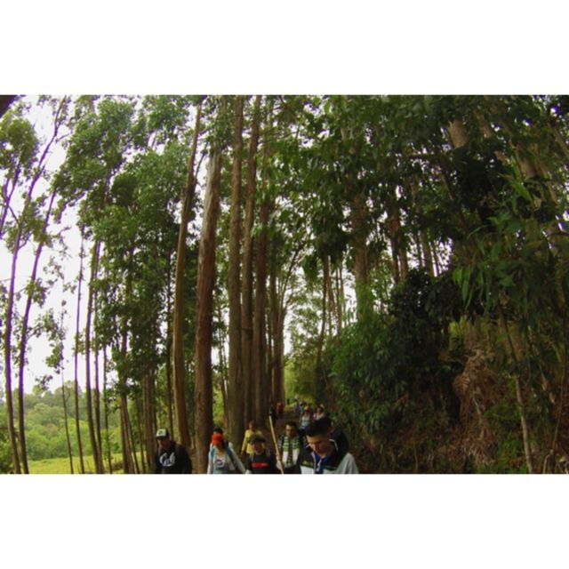 Bogota: Full-Day Extreme Eco-Tour - Preparation and Requirements