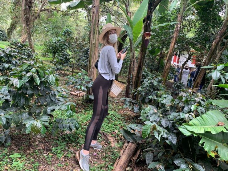Bogotá: Guided 5-Hour Coffee Farm Tour - Booking and Pricing Information
