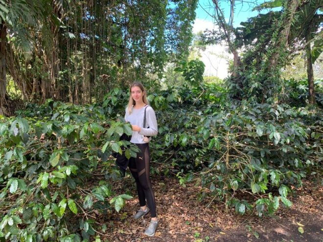 Bogotá: Guided 5-Hour Coffee Farm Tour - Tour Experience Overview