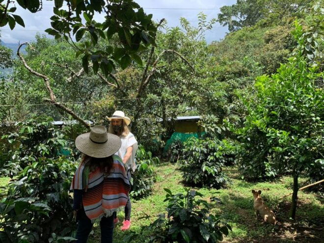 Bogotá: Guided 5-Hour Coffee Farm Tour - Detailed Itinerary and Meeting Point