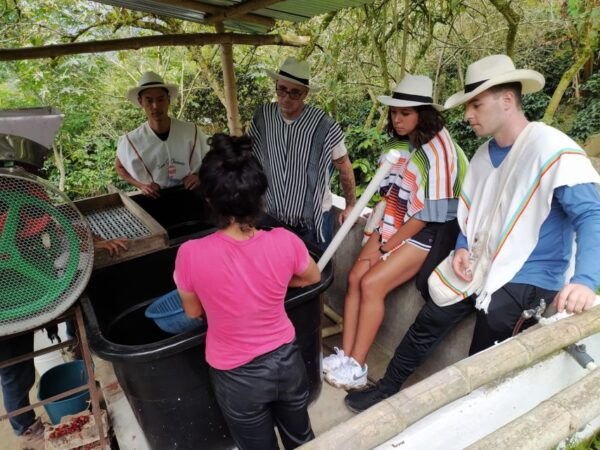 Bogotá: Guided 5-Hour Coffee Farm Tour - Additional Information and Special Requests