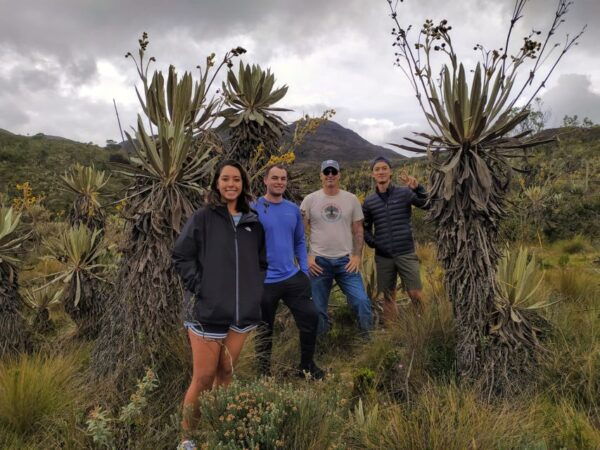 Bogotá: Guided 5-Hour Coffee Farm Tour - The Sum Up