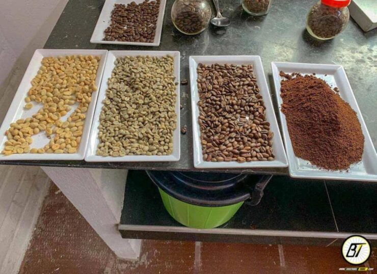 Bogotá: Guided Coffee Tour With Lunch, and Pickup & Drop-Off - Highlights of the Coffee Experience