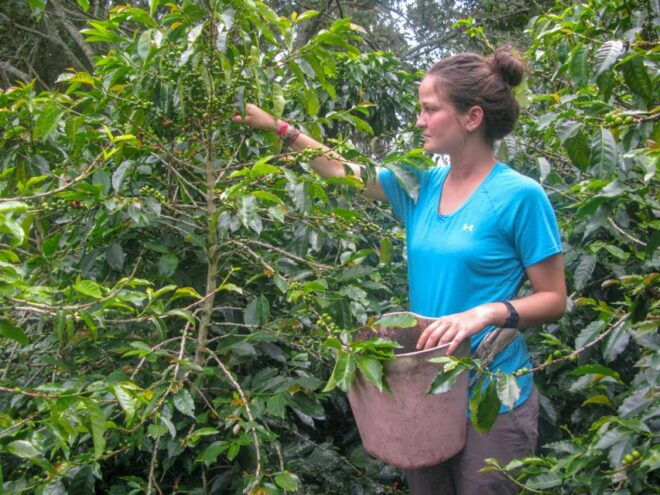 Bogotá: Guided Coffee Tour With Lunch, and Pickup & Drop-Off - Booking and Cancellation Information