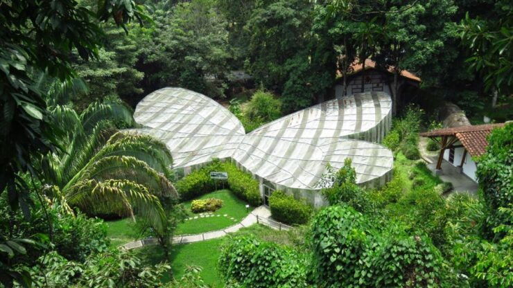 Bogotá: José Celestino Mutis Botanical Garden 3 Hrs - Highlights of the Botanical Garden