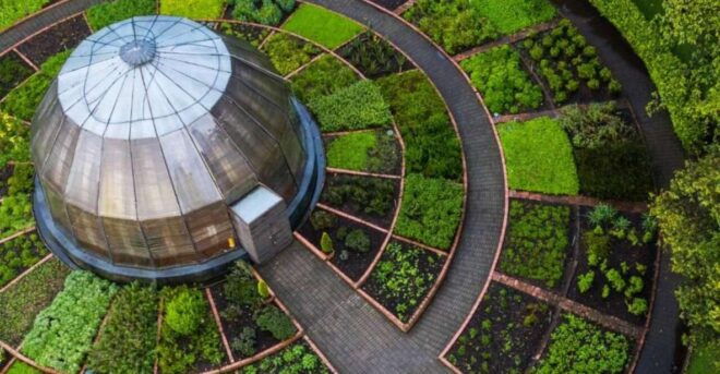 Bogotá: José Celestino Mutis Botanical Garden 3 Hrs - Conservation Efforts and Educational Programs