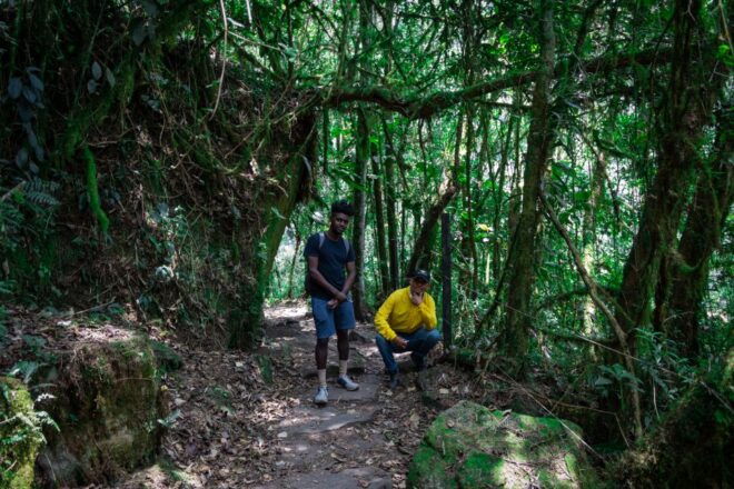 Bogotá: La Chorrera Waterfall Guided Hike With Lunch - Tour Itinerary