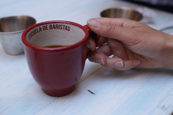 Bogota: Local Food Walking Tour - Frequently Asked Questions