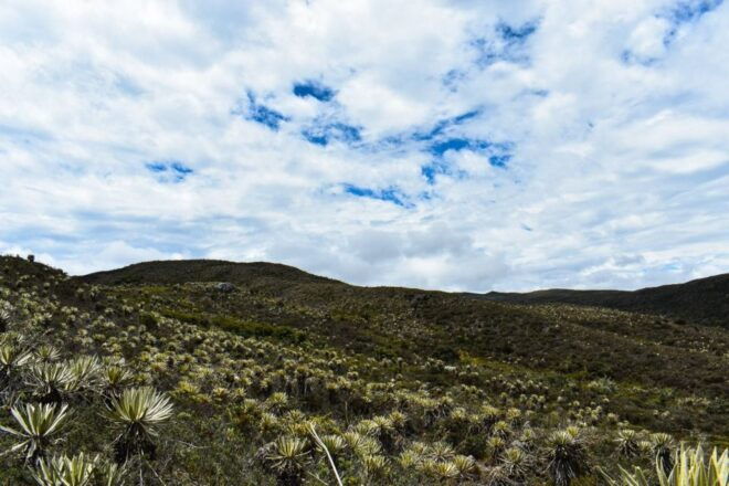 Bogotá: Sumapaz National Park Hike Tour With Lunch - Customer Reviews