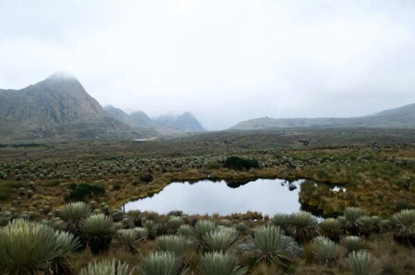 Bogotá: Sumapaz National Park Hike Tour With Lunch - Directions