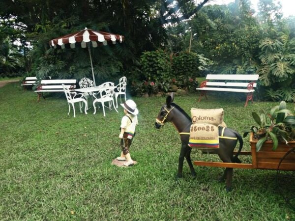 Bogotá to Hacienda Coloma Coffee Tour - Cancellation Policy