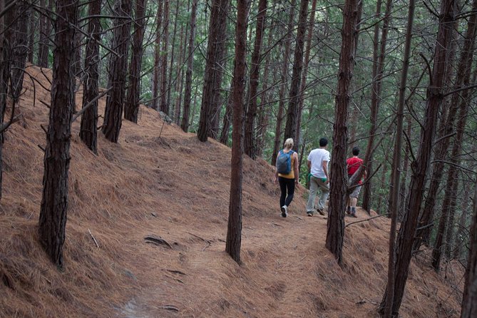 Bogota's East Hills Adventure: Breakfast Included - Overview of Bogotas East Hills Adventure