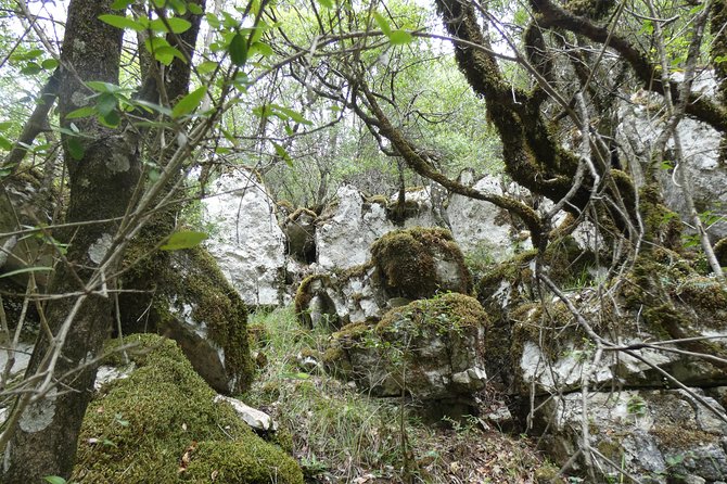 BOGOVA WATERFALL & WINERY TOUR From Berat by 1001 AA - Frequently Asked Questions