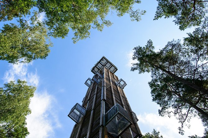 Bogs and Resorts in Jūrmala - Jūrmala Open-Air Museum: Cultural Delight