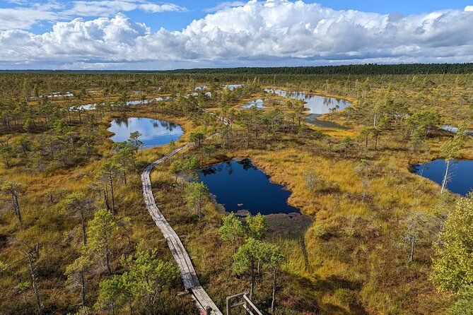 Bogs and Resorts in Jūrmala - Private Tours: Customized Experiences