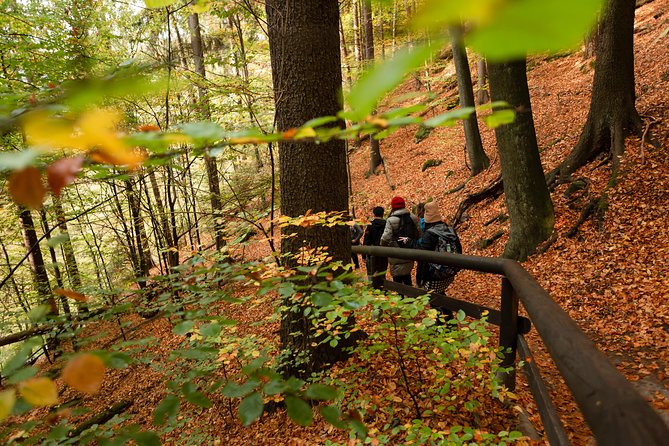 Bohemian and Saxon Switzerland National Park Day Trip From Prague - Best Reviews - Reviews Summary