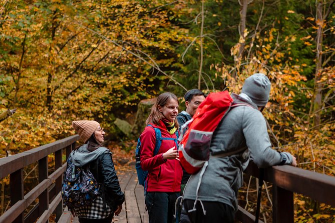 Bohemian and Saxon Switzerland National Park Day Trip From Prague - Best Reviews - Safety and Accessibility