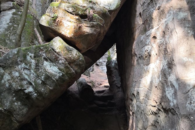 Bohemian Paradise (Český Ráj) UNESCO Geopark Nature Walks - Tour Highlights