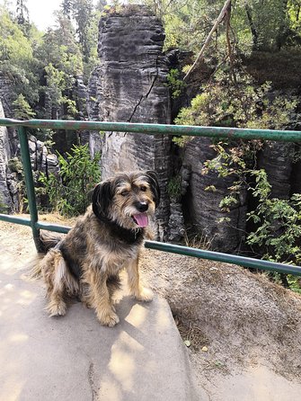 Bohemian Paradise (Český Ráj) UNESCO Geopark Nature Walks - Frequently Asked Questions