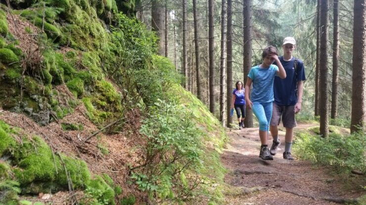 Bohemian Switzerland: Private Day Trip From Prague - Tour Experience