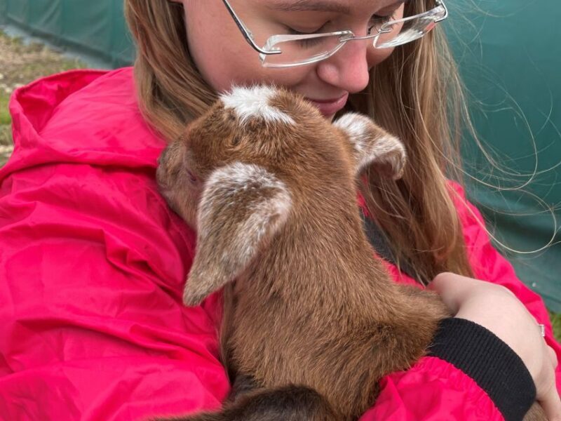 Bohemian Uplands: Garnet panning, Farm & Local Lunch&Beer - FAQs
