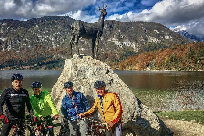 Bohinj Valley Bike Adventure - Reviews